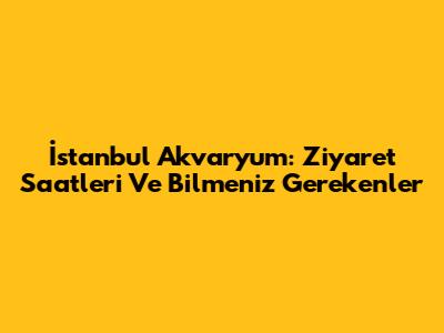 İstanbul Akvaryum: Ziyaret Saatleri Ve Bilmeniz Gerekenler