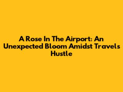 A Rose In The Airport: An Unexpected Bloom Amidst Travel's Hustle