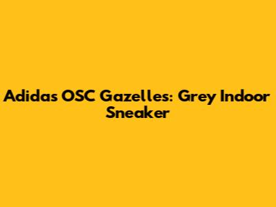 Adidas OSC Gazelles: Grey Indoor Sneaker