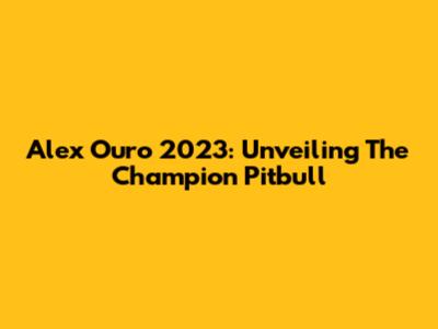 Alex Ouro 2023: Unveiling The Champion Pitbull