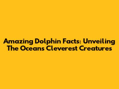 Amazing Dolphin Facts: Unveiling The Ocean's Cleverest Creatures