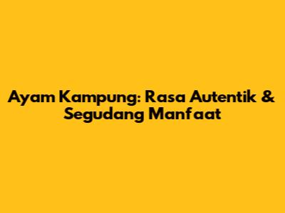 Ayam Kampung: Rasa Autentik & Segudang Manfaat