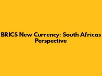 BRICS New Currency: South Africa's Perspective