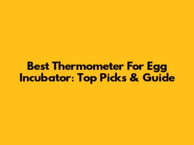 Best Thermometer For Egg Incubator: Top Picks & Guide