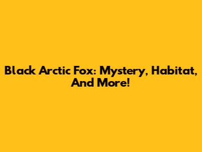 Black Arctic Fox: Mystery, Habitat, And More!