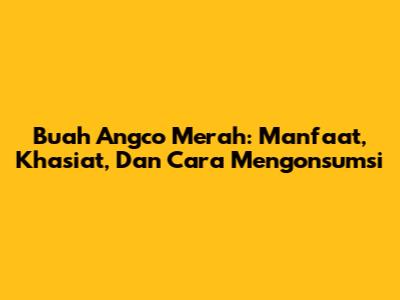 Buah Angco Merah: Manfaat, Khasiat, Dan Cara Mengonsumsi