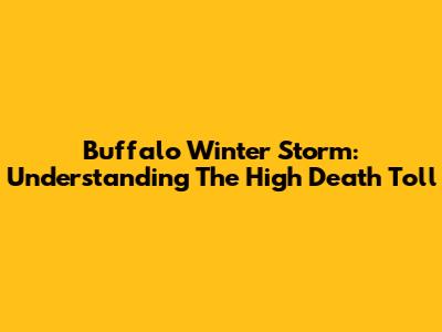 Buffalo Winter Storm: Understanding The High Death Toll