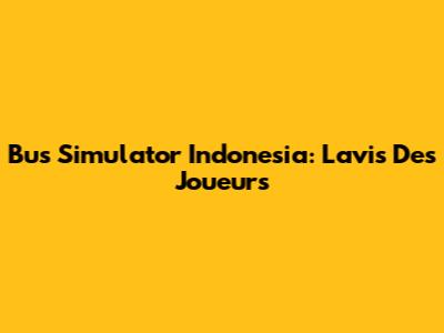 Bus Simulator Indonesia: L'avis Des Joueurs