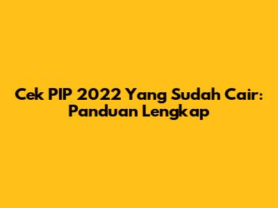 Cek PIP 2022 Yang Sudah Cair: Panduan Lengkap