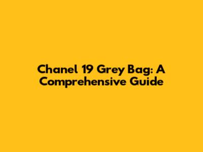 Chanel 19 Grey Bag: A Comprehensive Guide