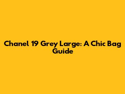 Chanel 19 Grey Large: A Chic Bag Guide
