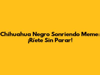Chihuahua Negro Sonriendo Meme: ¡Ríete Sin Parar!