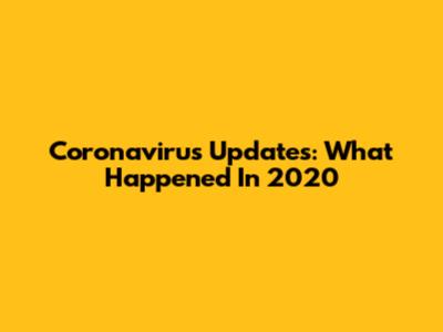 Coronavirus Updates: What Happened In 2020
