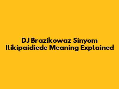 DJ Brazikowaz Sinyom Ilikipaidiede Meaning Explained