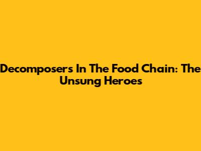 Decomposers In The Food Chain: The Unsung Heroes