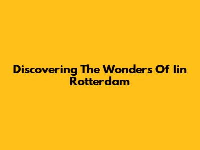 Discovering The Wonders Of Iin Rotterdam