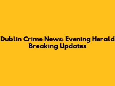 Dublin Crime News: Evening Herald Breaking Updates