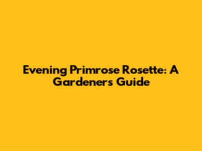 Evening Primrose Rosette: A Gardener's Guide