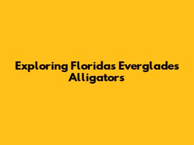 Exploring Florida's Everglades Alligators