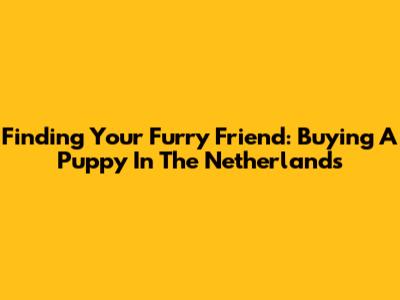 Finding Your Furry Friend: Buying A Puppy In The Netherlands