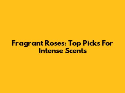Fragrant Roses: Top Picks For Intense Scents