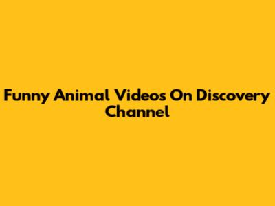 Funny Animal Videos On Discovery Channel