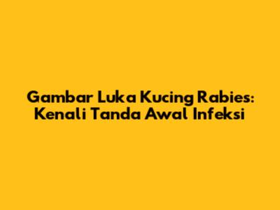 Gambar Luka Kucing Rabies: Kenali Tanda Awal Infeksi