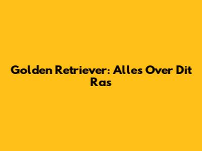 Golden Retriever: Alles Over Dit Ras