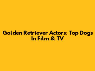 Golden Retriever Actors: Top Dogs In Film & TV