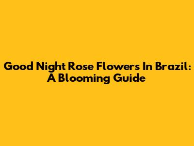 Good Night Rose Flowers In Brazil: A Blooming Guide