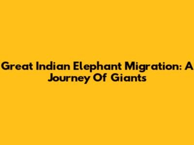Great Indian Elephant Migration: A Journey Of Giants