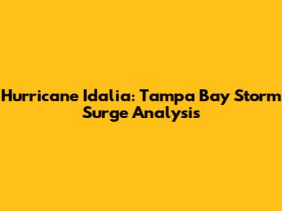 Hurricane Idalia: Tampa Bay Storm Surge Analysis