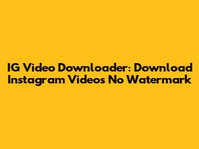 IG Video Downloader: Download Instagram Videos No Watermark