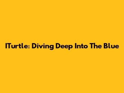ITurtle: Diving Deep Into The Blue