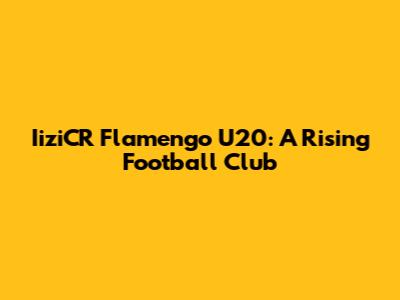 IiziCR Flamengo U20: A Rising Football Club
