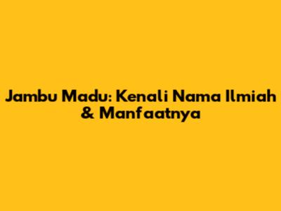 Jambu Madu: Kenali Nama Ilmiah & Manfaatnya