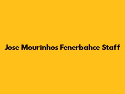 Jose Mourinho's Fenerbahce Staff