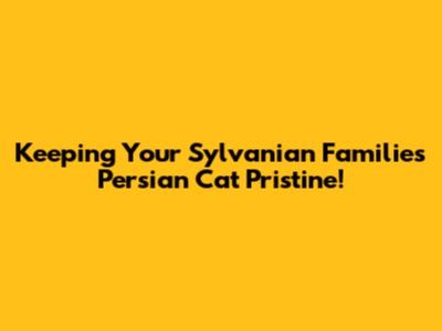 Keeping Your Sylvanian Families Persian Cat Pristine!