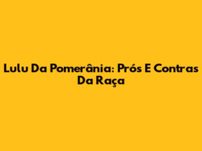 Lulu Da Pomerânia: Prós E Contras Da Raça