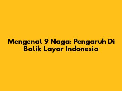 Mengenal 9 Naga: Pengaruh Di Balik Layar Indonesia