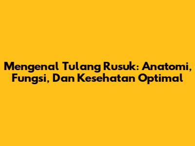 Mengenal Tulang Rusuk: Anatomi, Fungsi, Dan Kesehatan Optimal