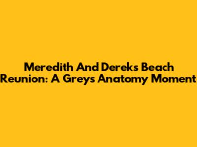 Meredith And Derek's Beach Reunion: A 'Grey's Anatomy' Moment