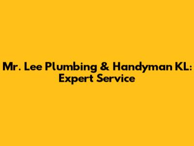 Mr. Lee Plumbing & Handyman KL: Expert Service