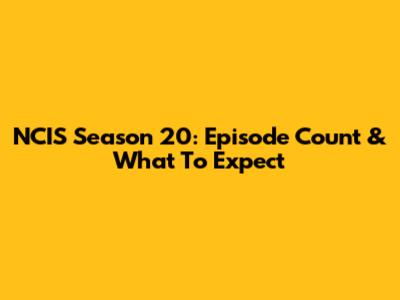 NCIS Season 20: Episode Count & What To Expect
