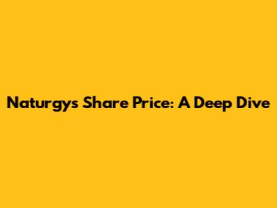 Naturgy's Share Price: A Deep Dive