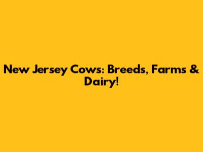 New Jersey Cows: Breeds, Farms & Dairy!