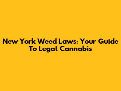 New York Weed Laws: Your Guide To Legal Cannabis