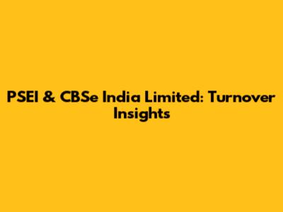 PSEI & CBSe India Limited: Turnover Insights