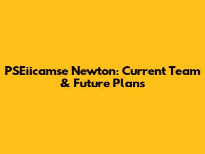 PSEiicamse Newton: Current Team & Future Plans
