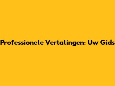 Professionele Vertalingen: Uw Gids
